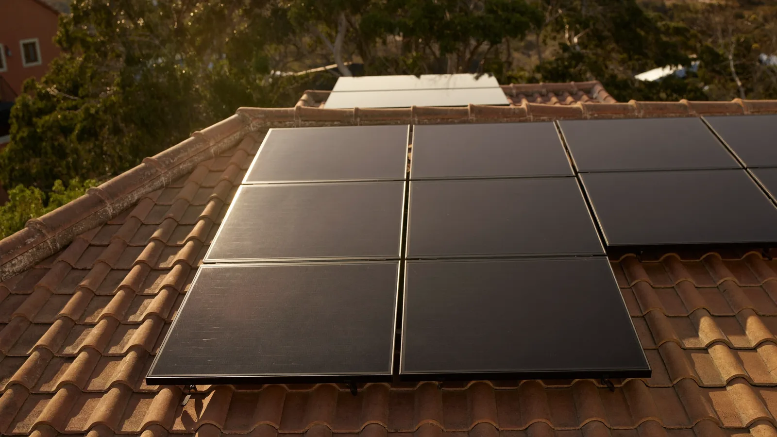 Jinko Solar Panels Review Australia 2026: Tiger Neo Honest Assessment